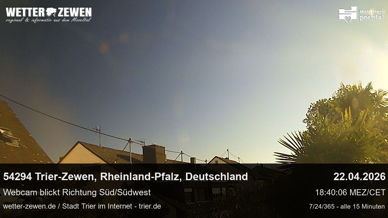 Bild