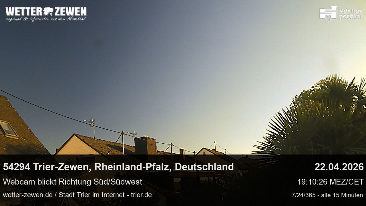 Bild