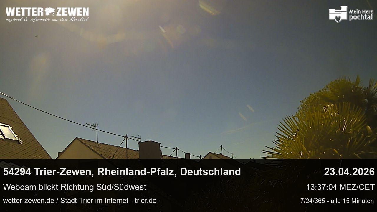 Bild