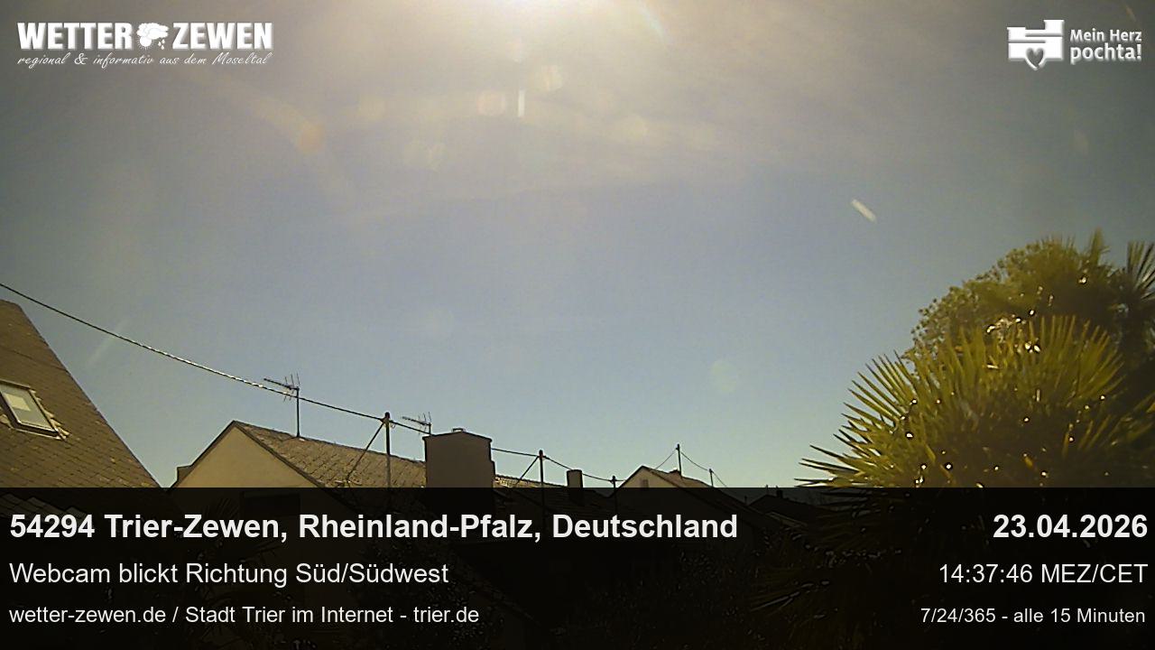 Bild