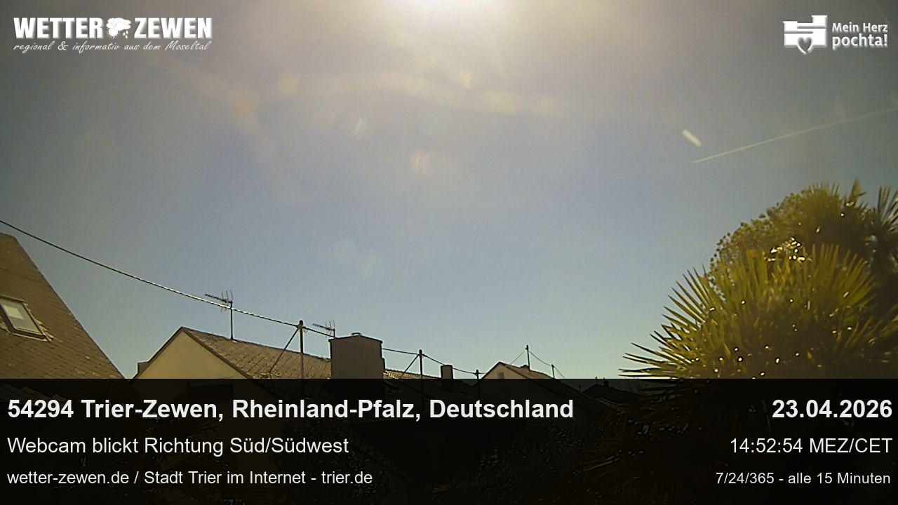 Bild