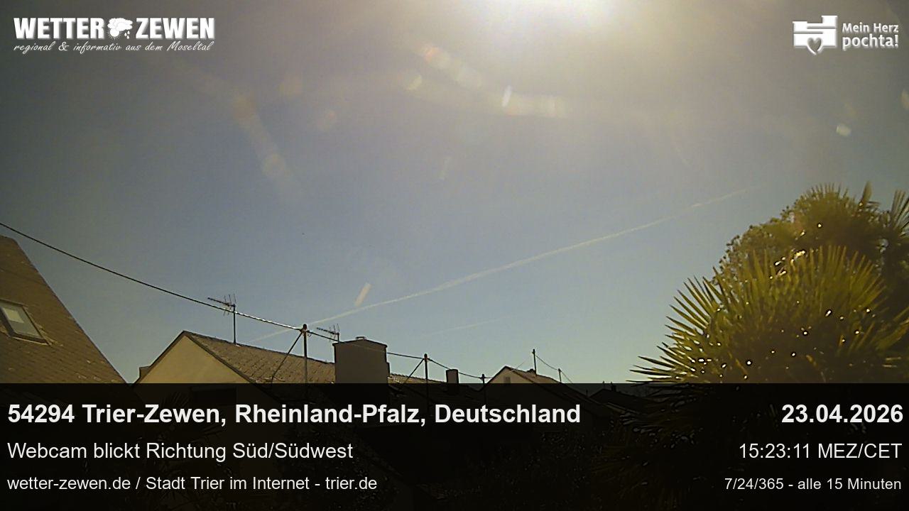Bild