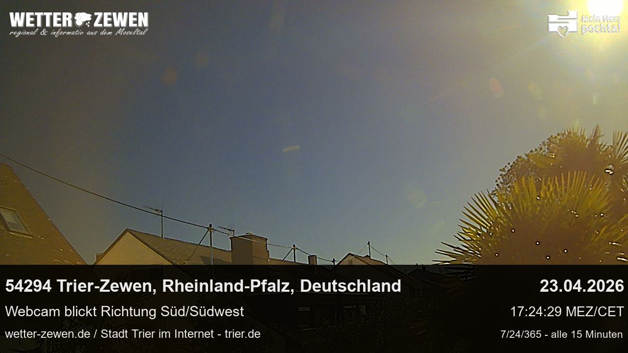 Bild
