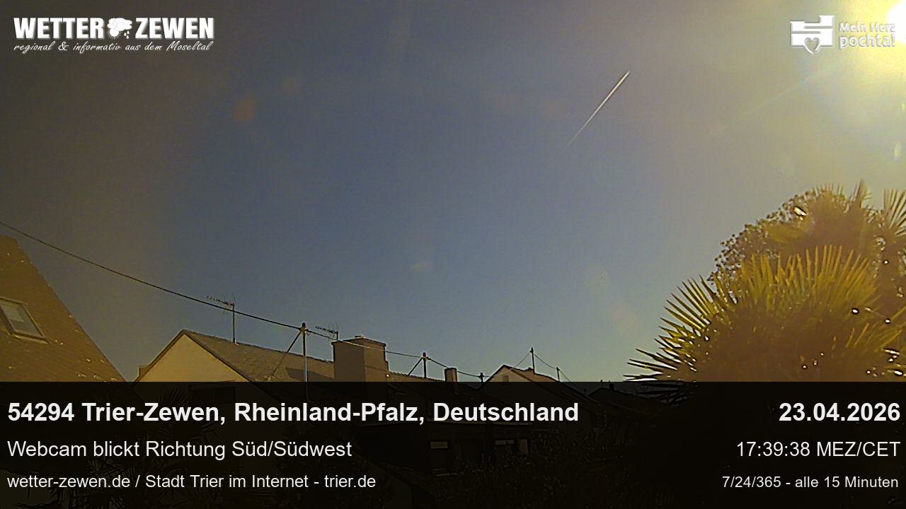 Bild