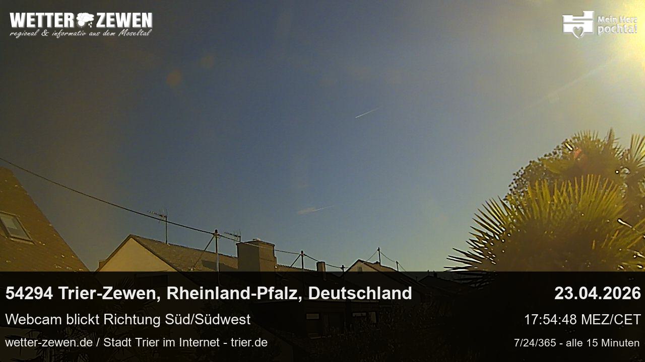 Bild