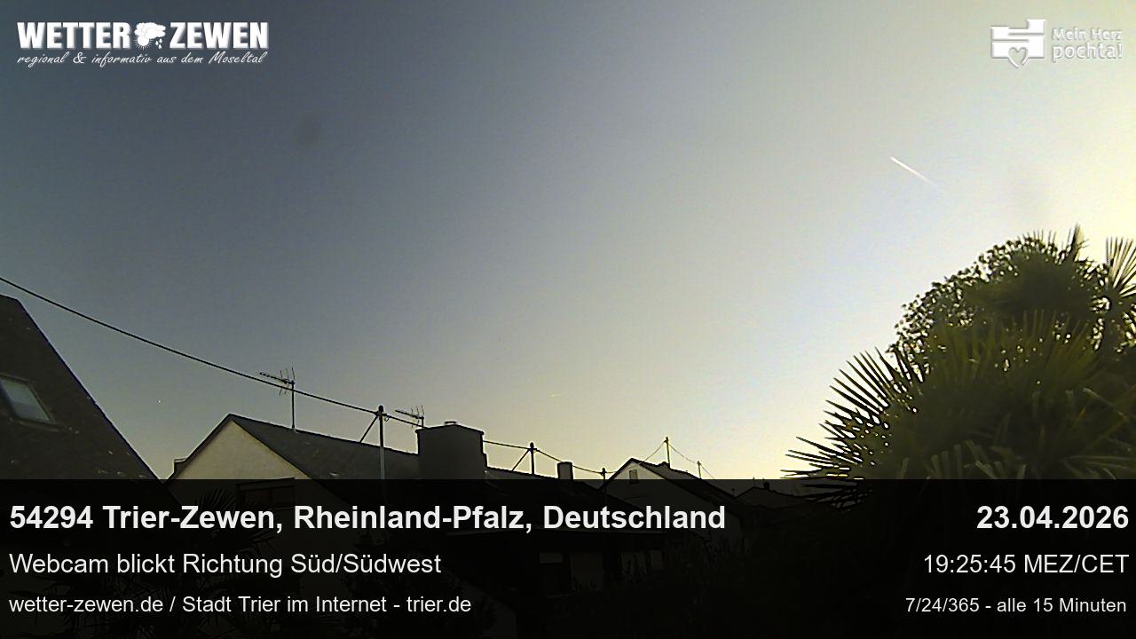 Bild