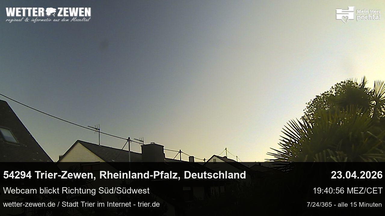 Bild