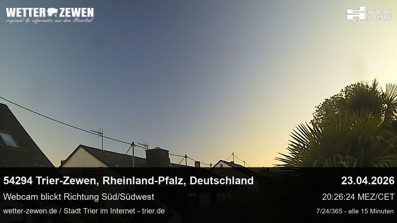 Bild