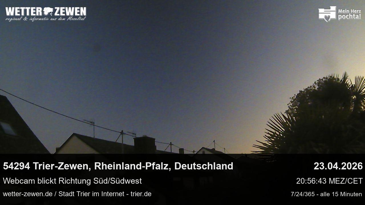 Bild