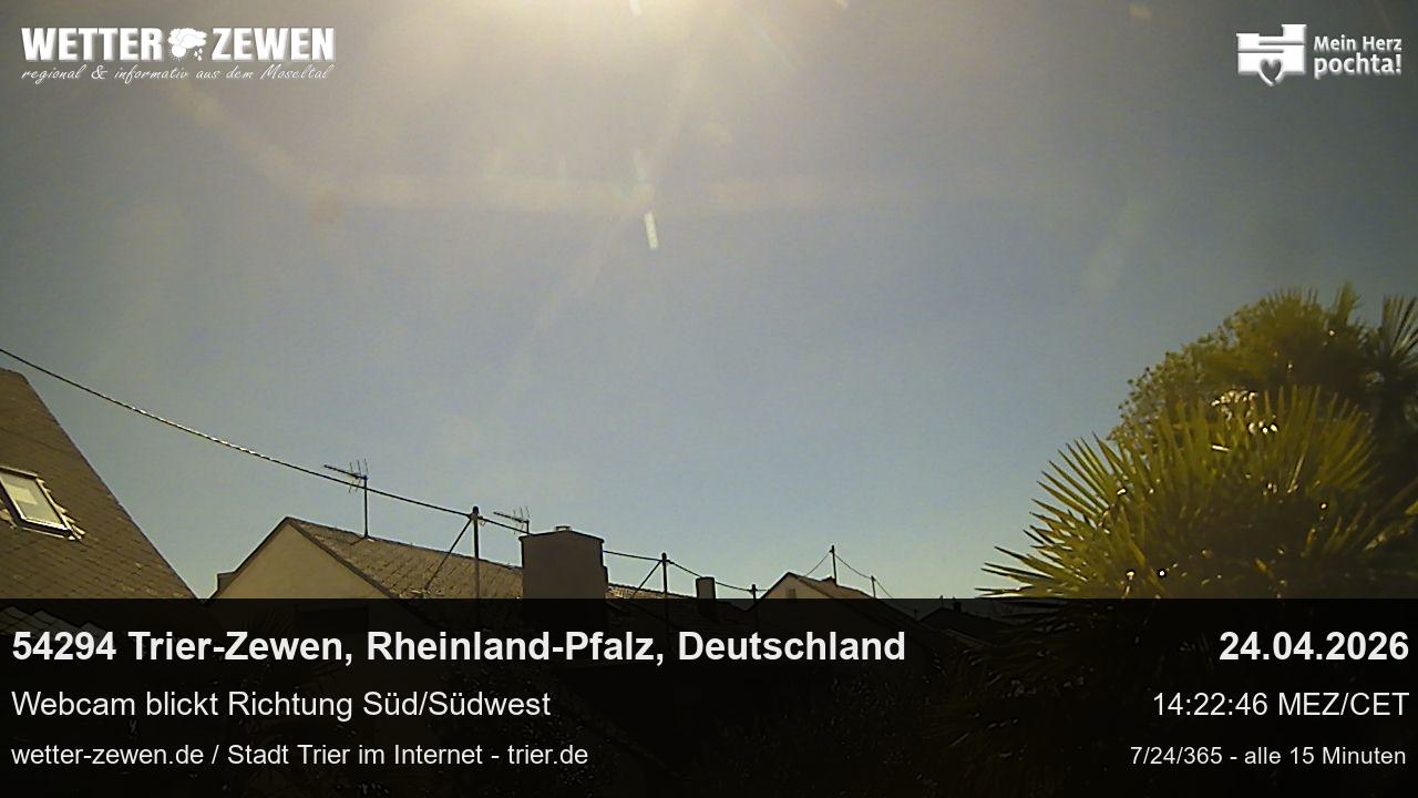 Bild