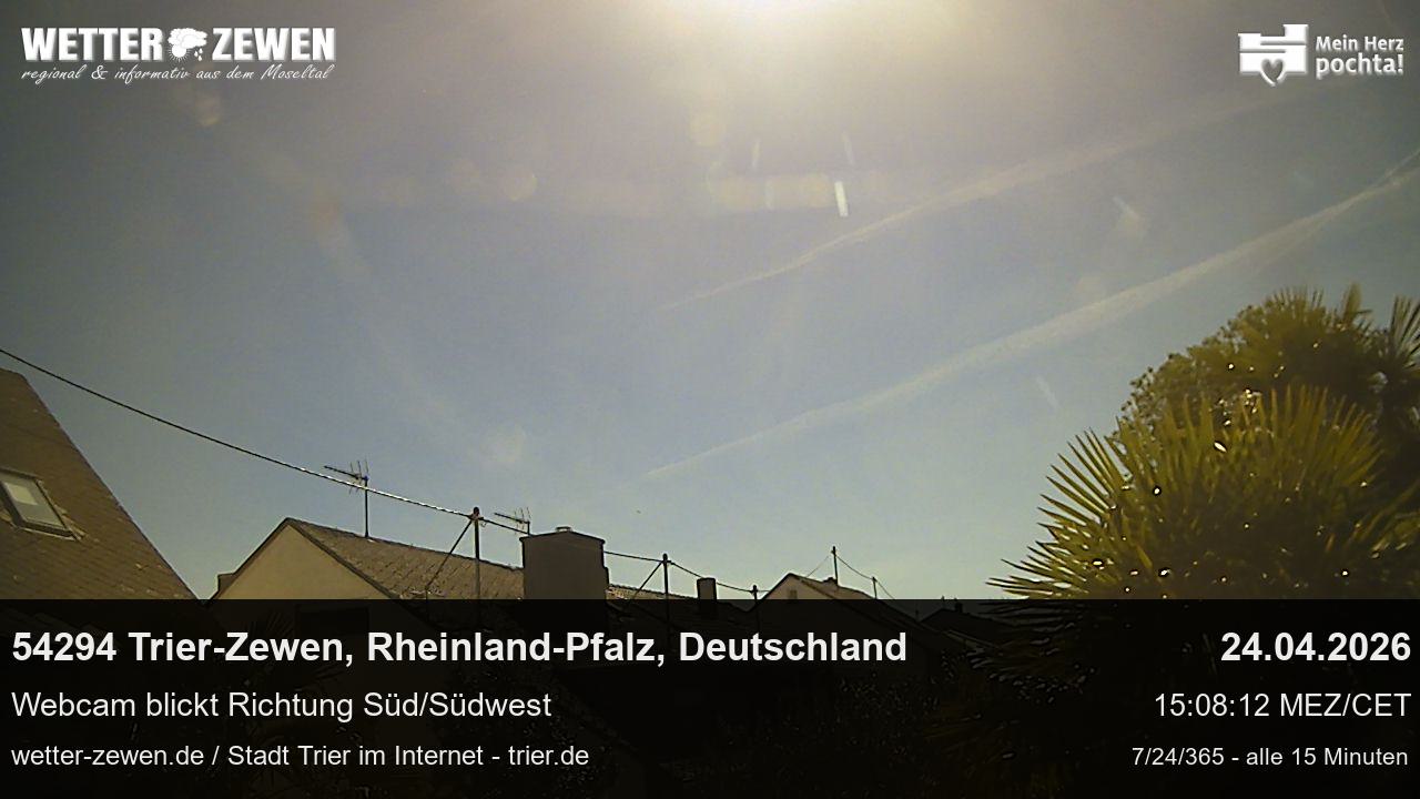 Bild