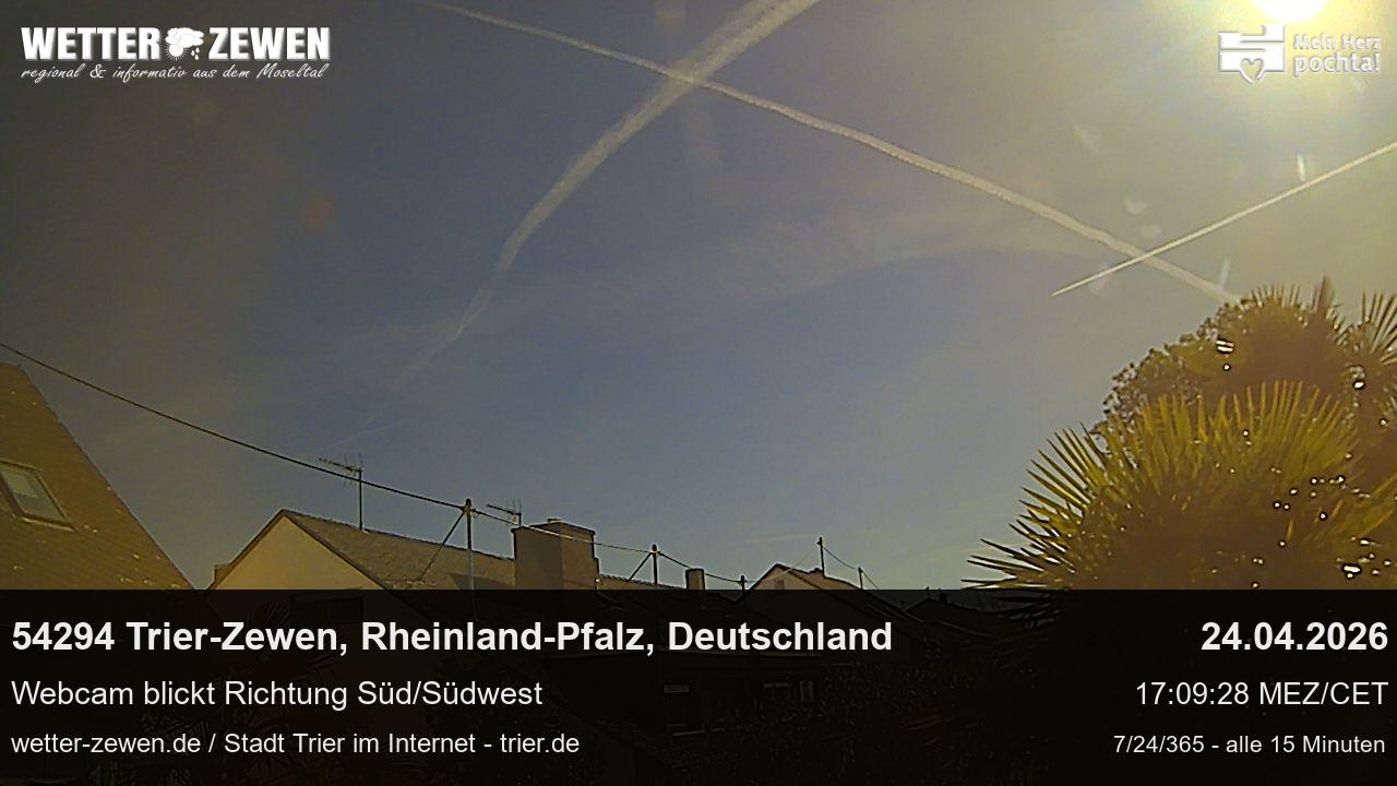 Bild