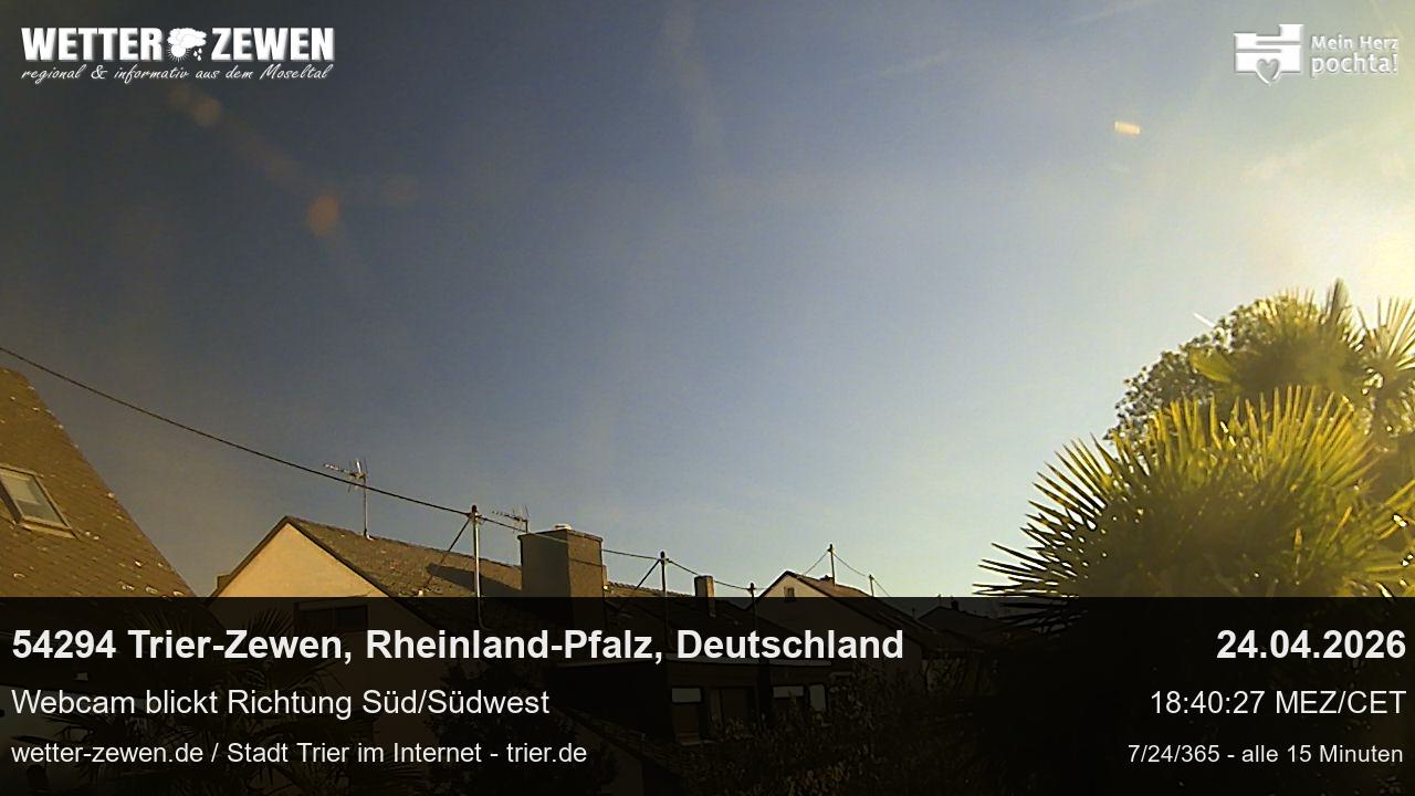 Bild