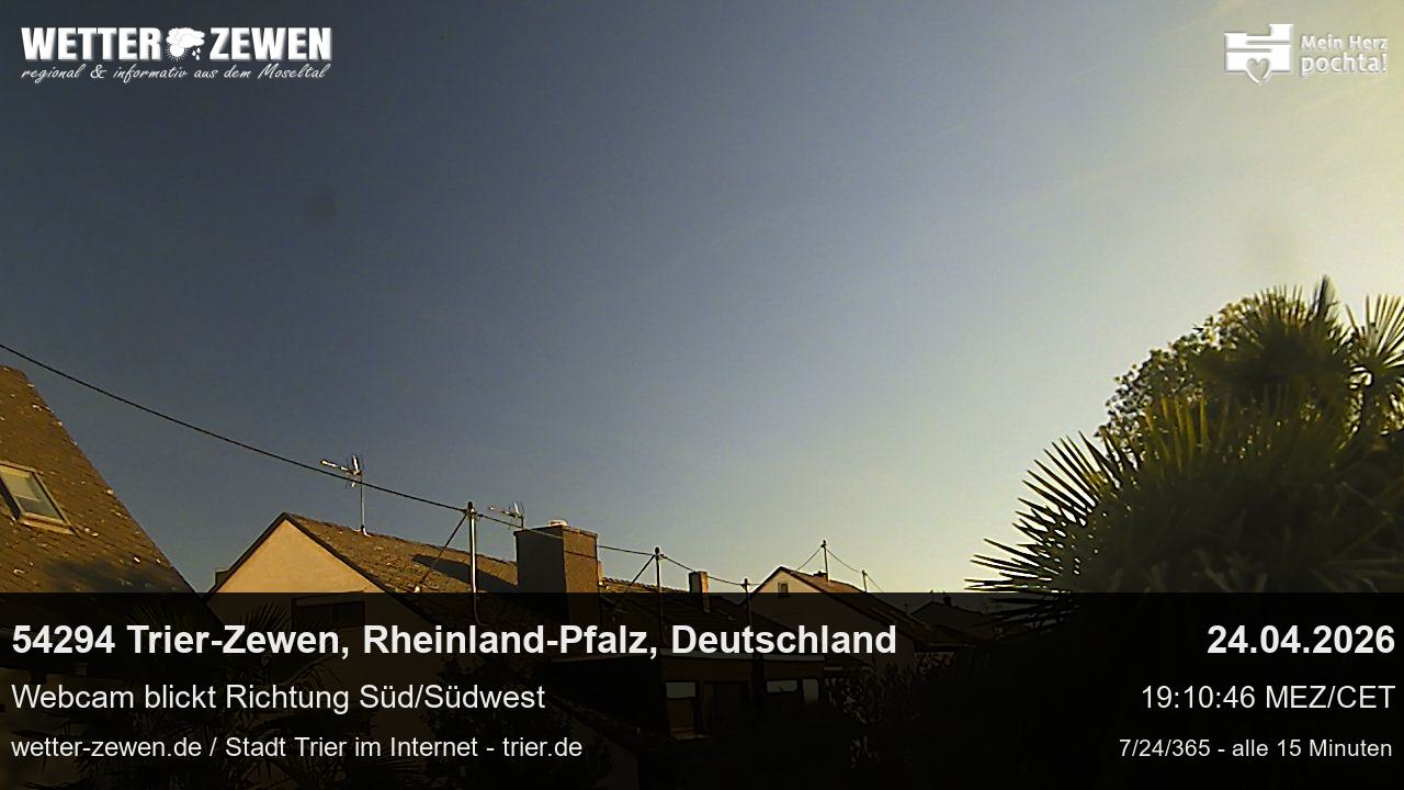 Bild