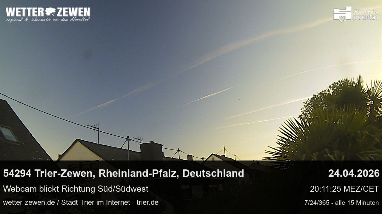 Bild