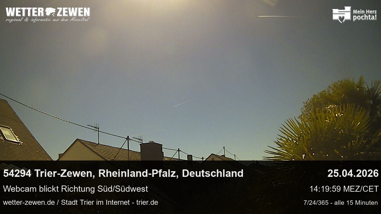 Bild