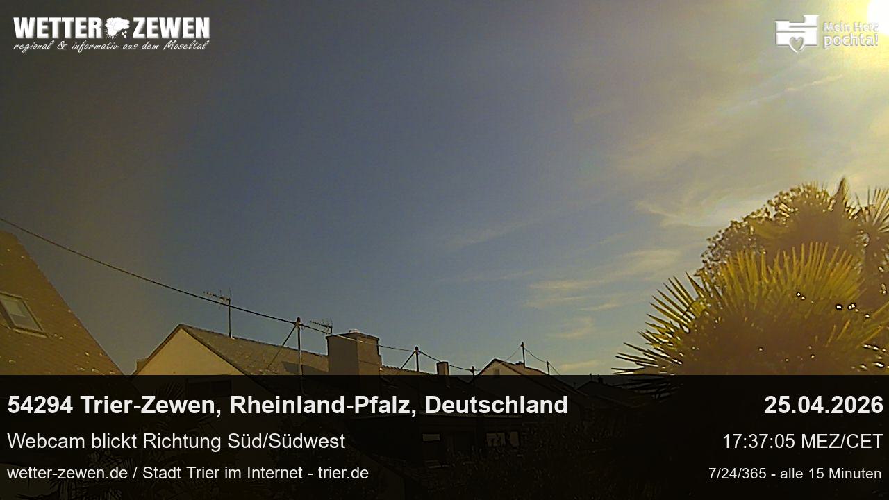 Bild