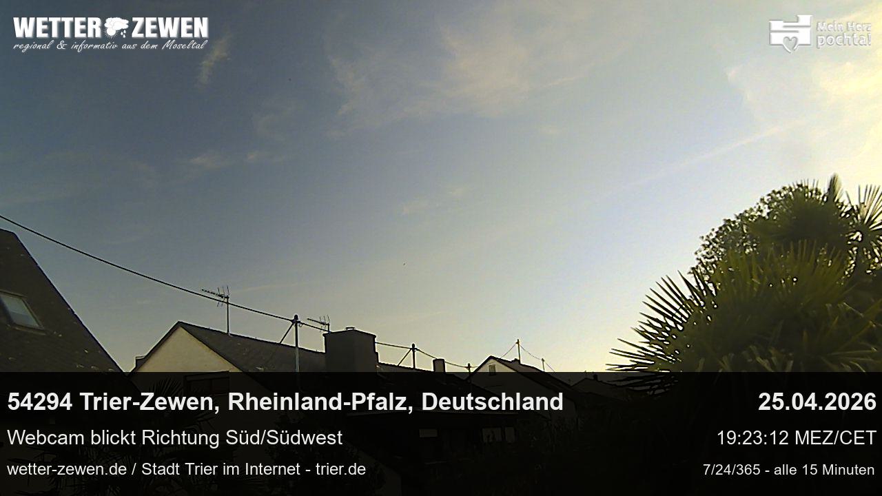 Bild