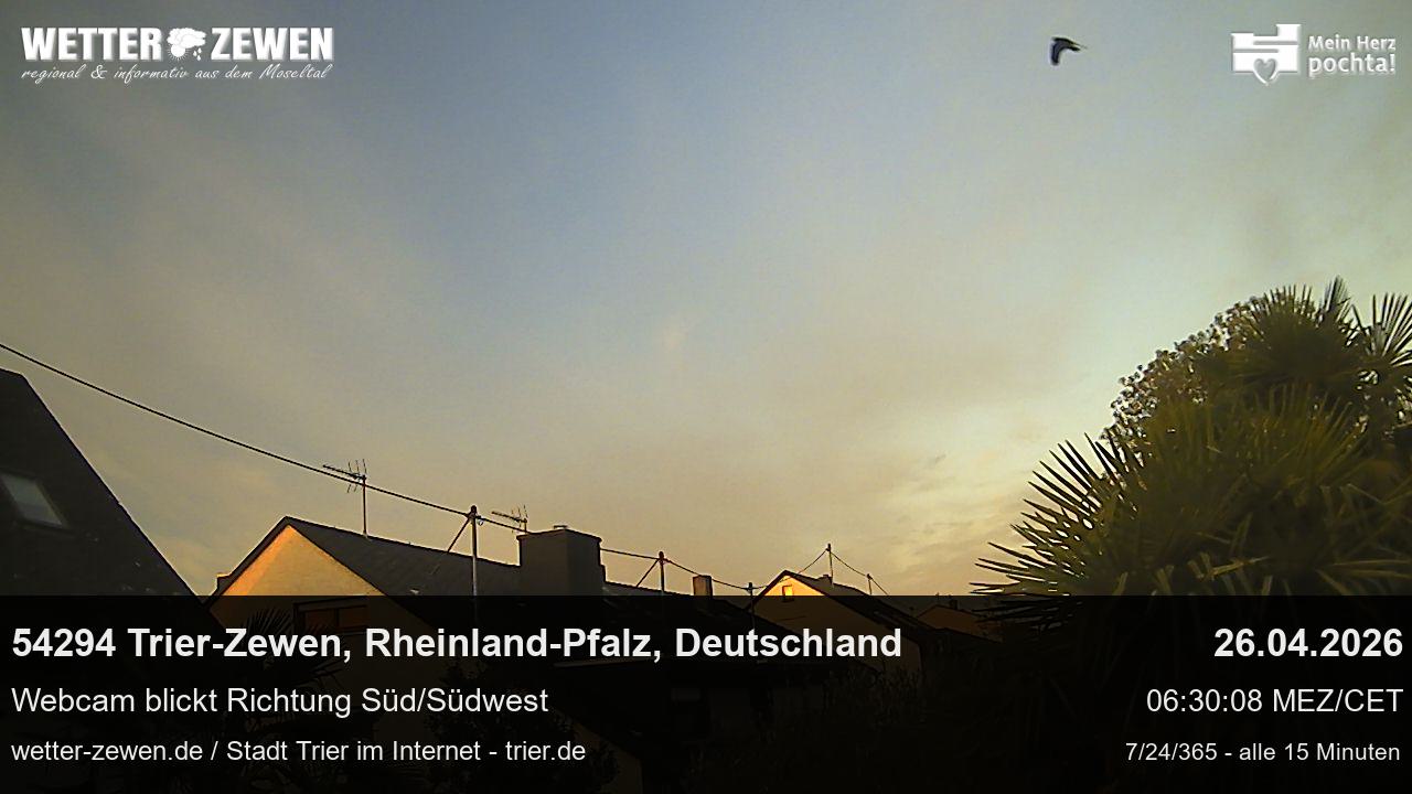 Bild