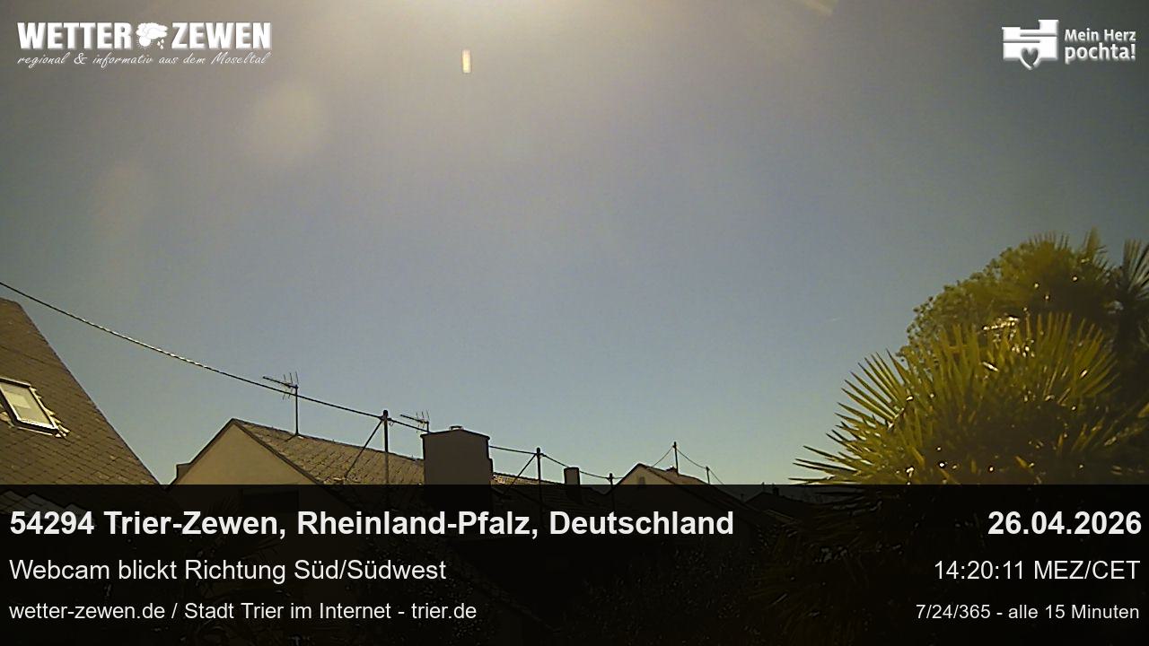Bild
