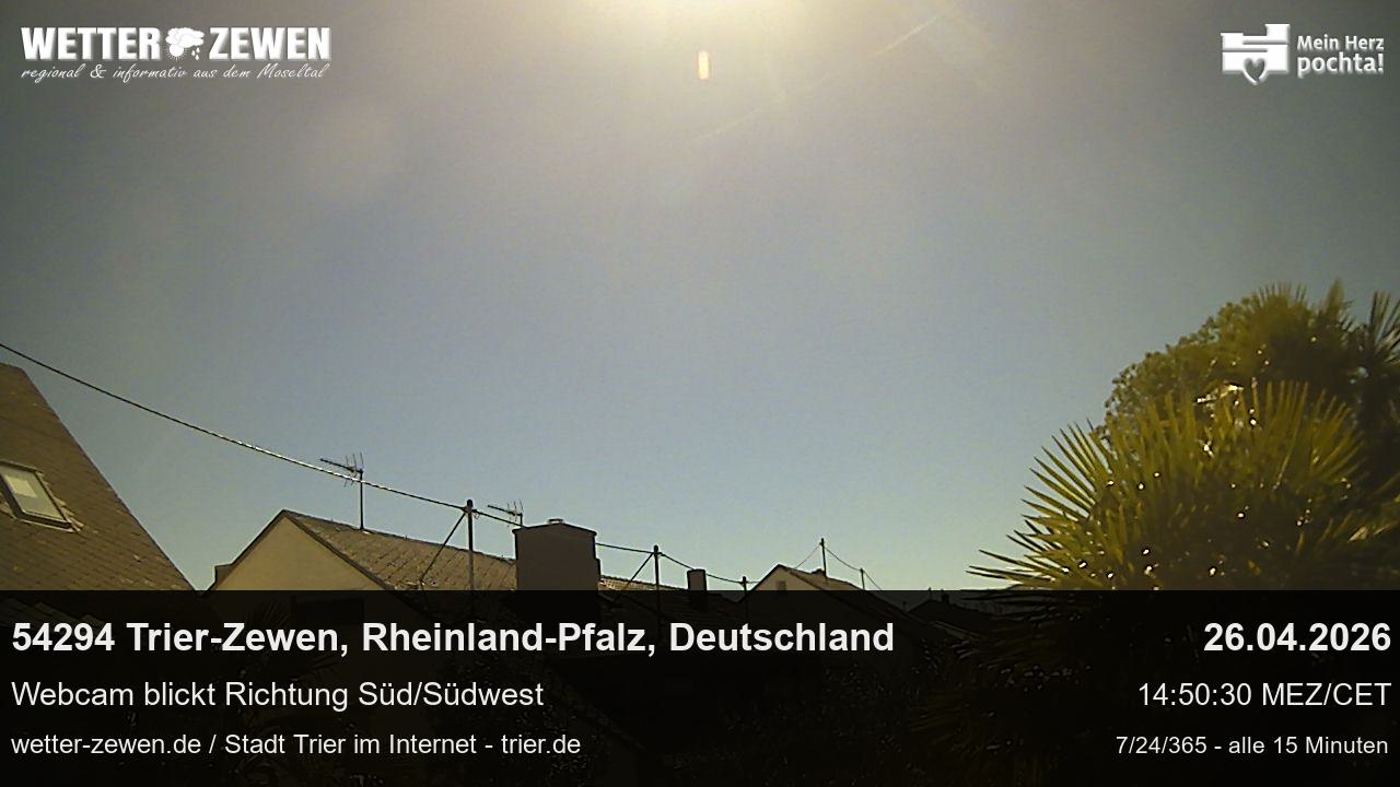 Bild