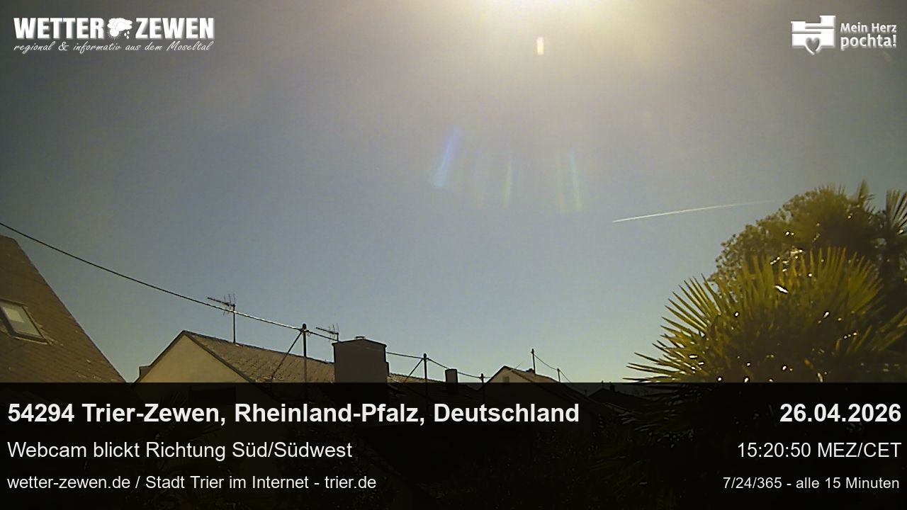 Bild