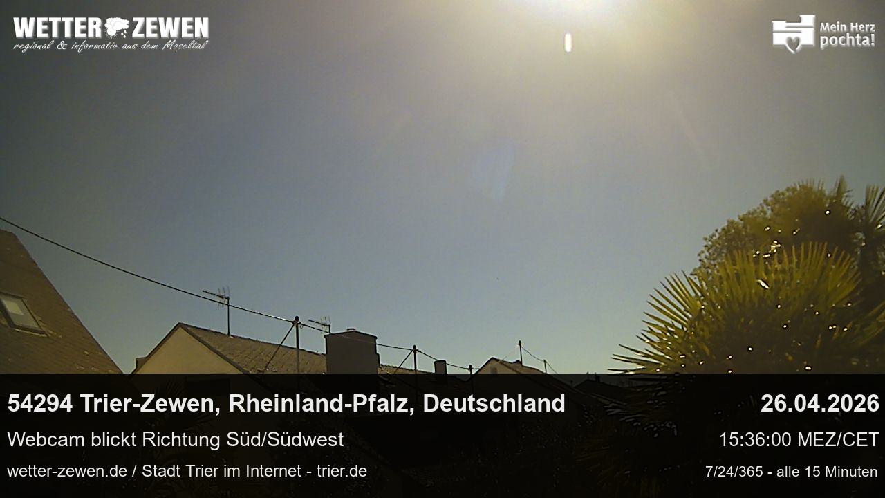 Bild