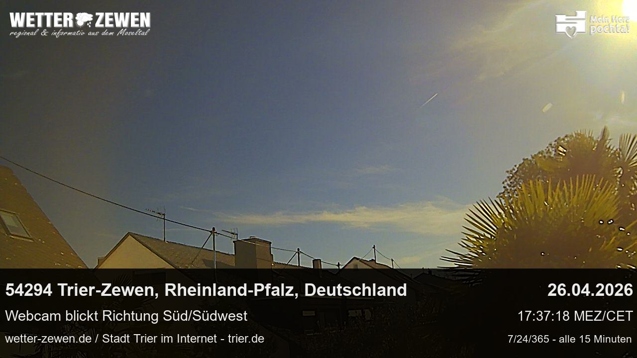 Bild
