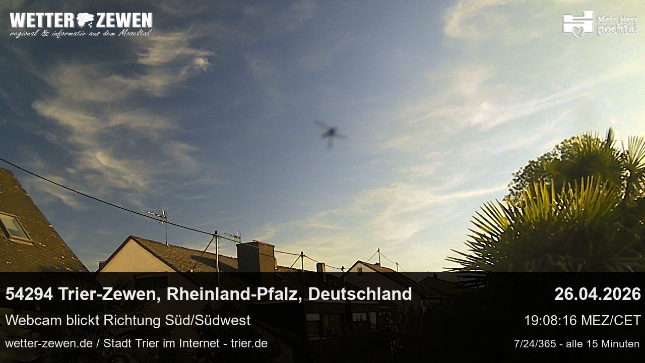 Bild