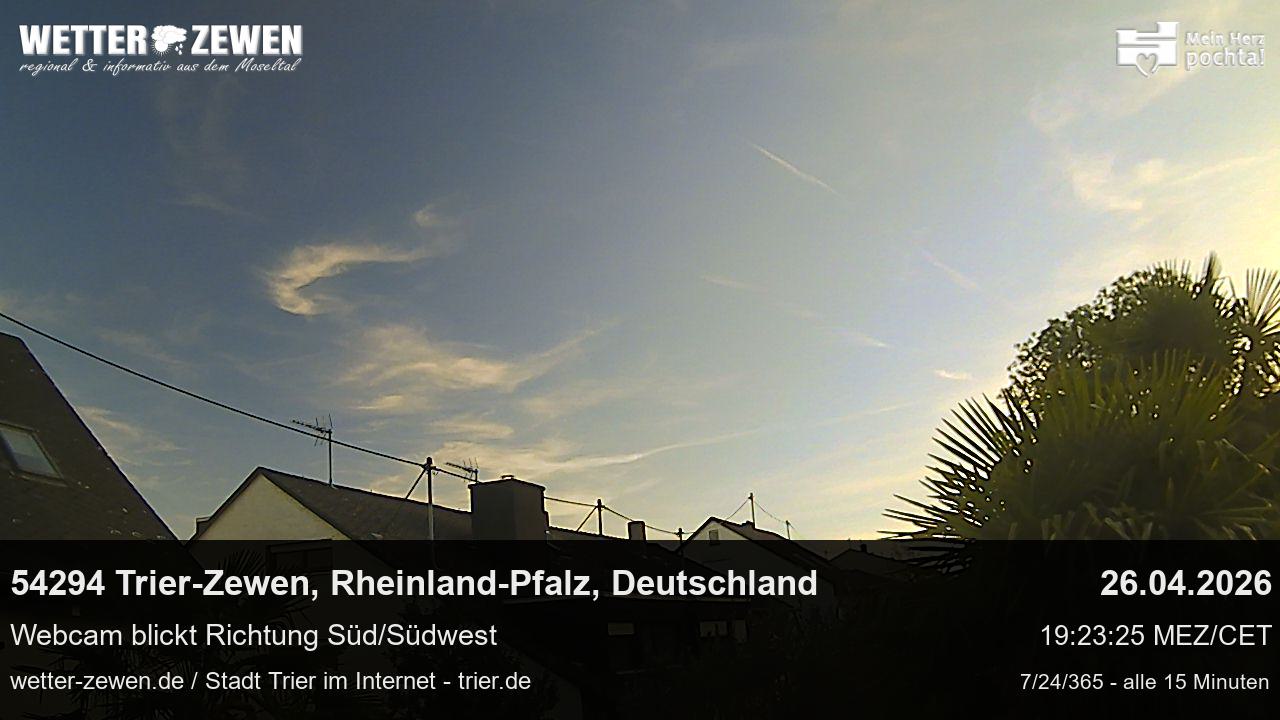Bild