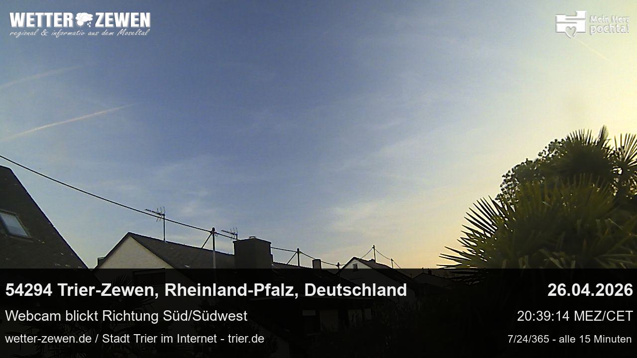 Bild