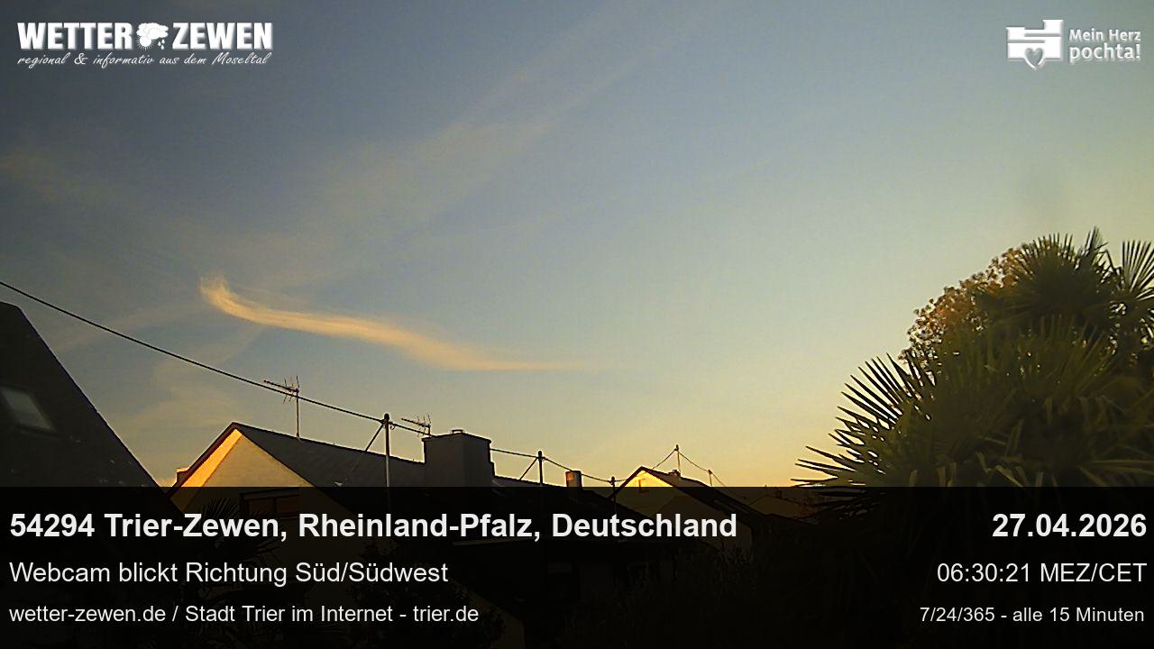 Bild