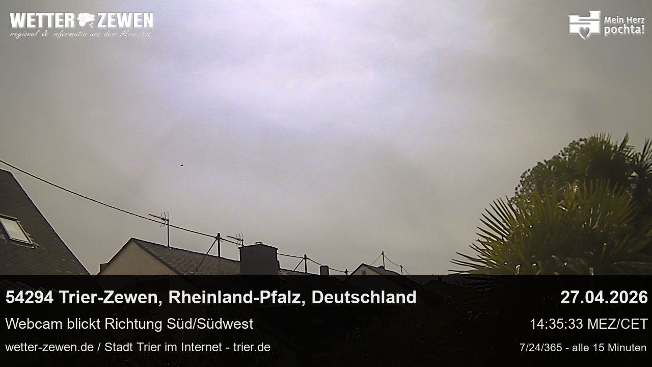 Bild