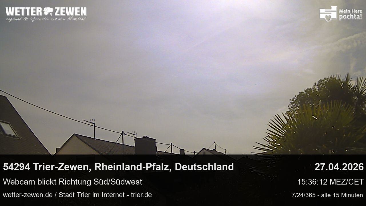 Bild