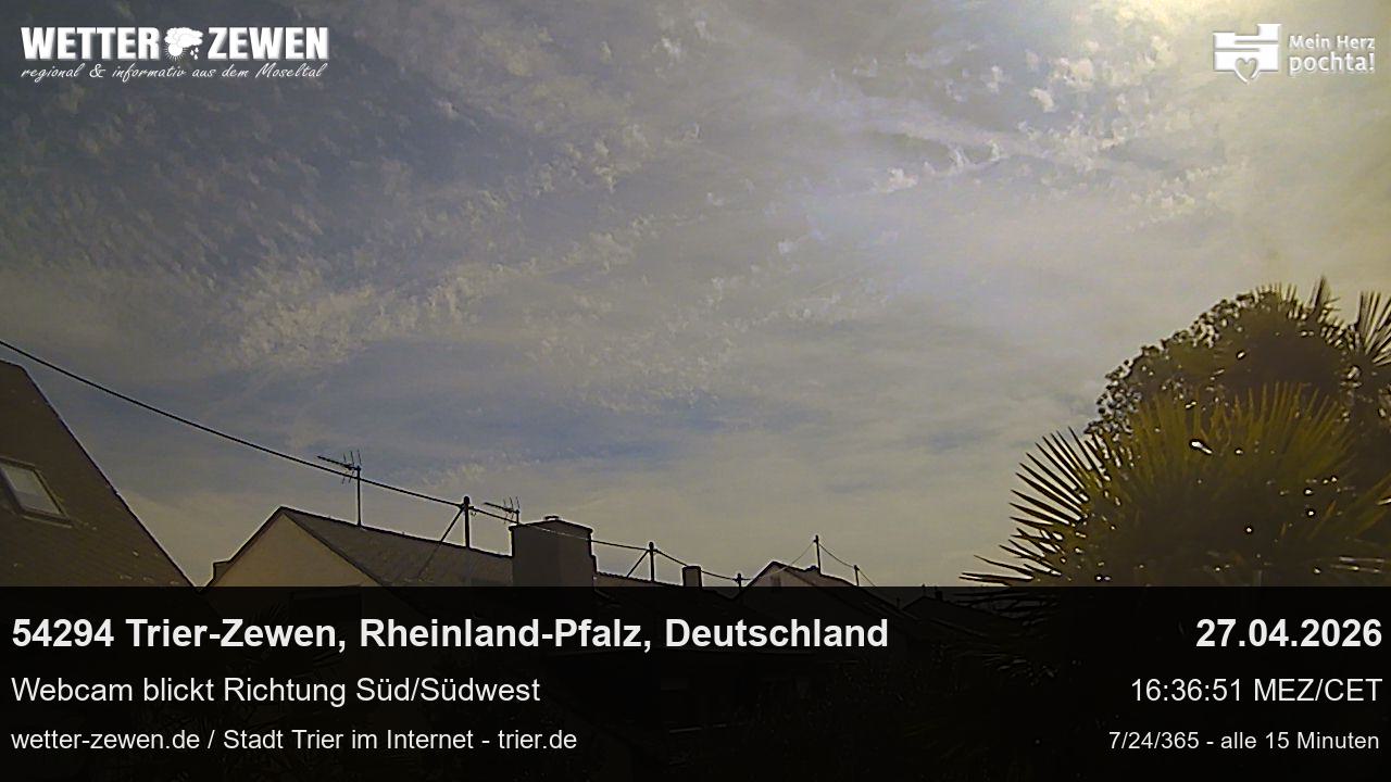 Bild