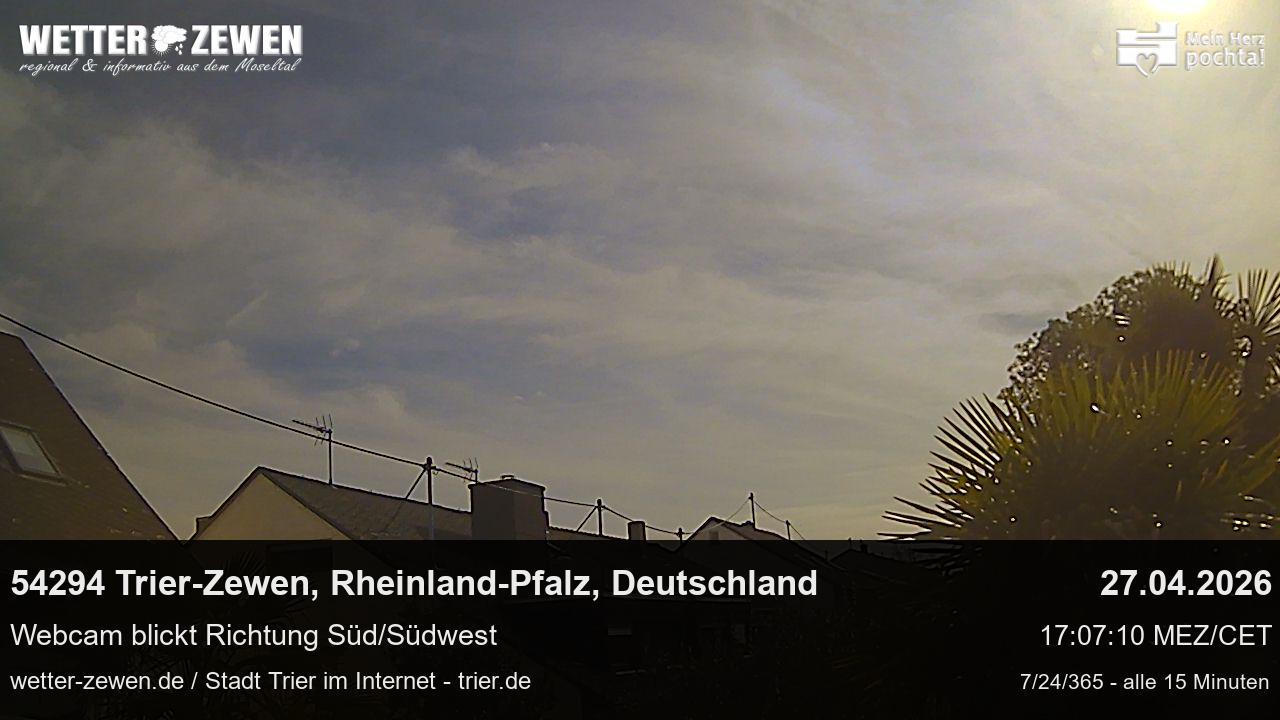 Bild