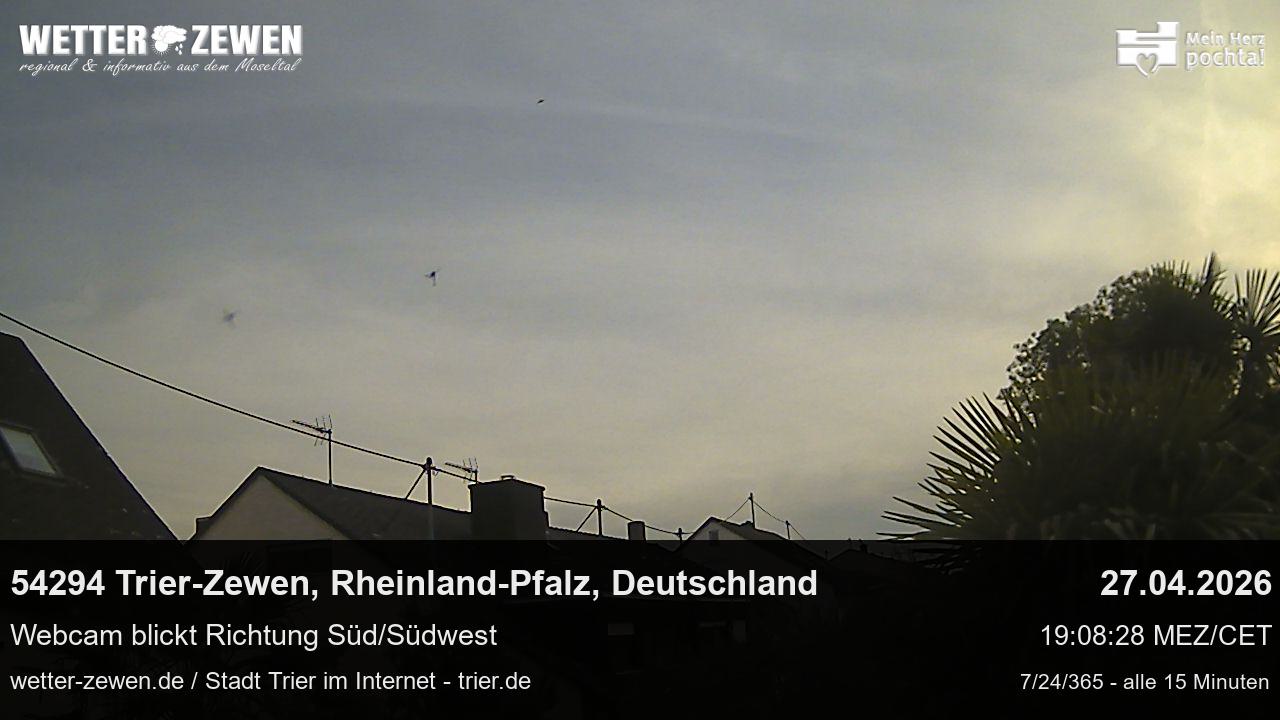 Bild