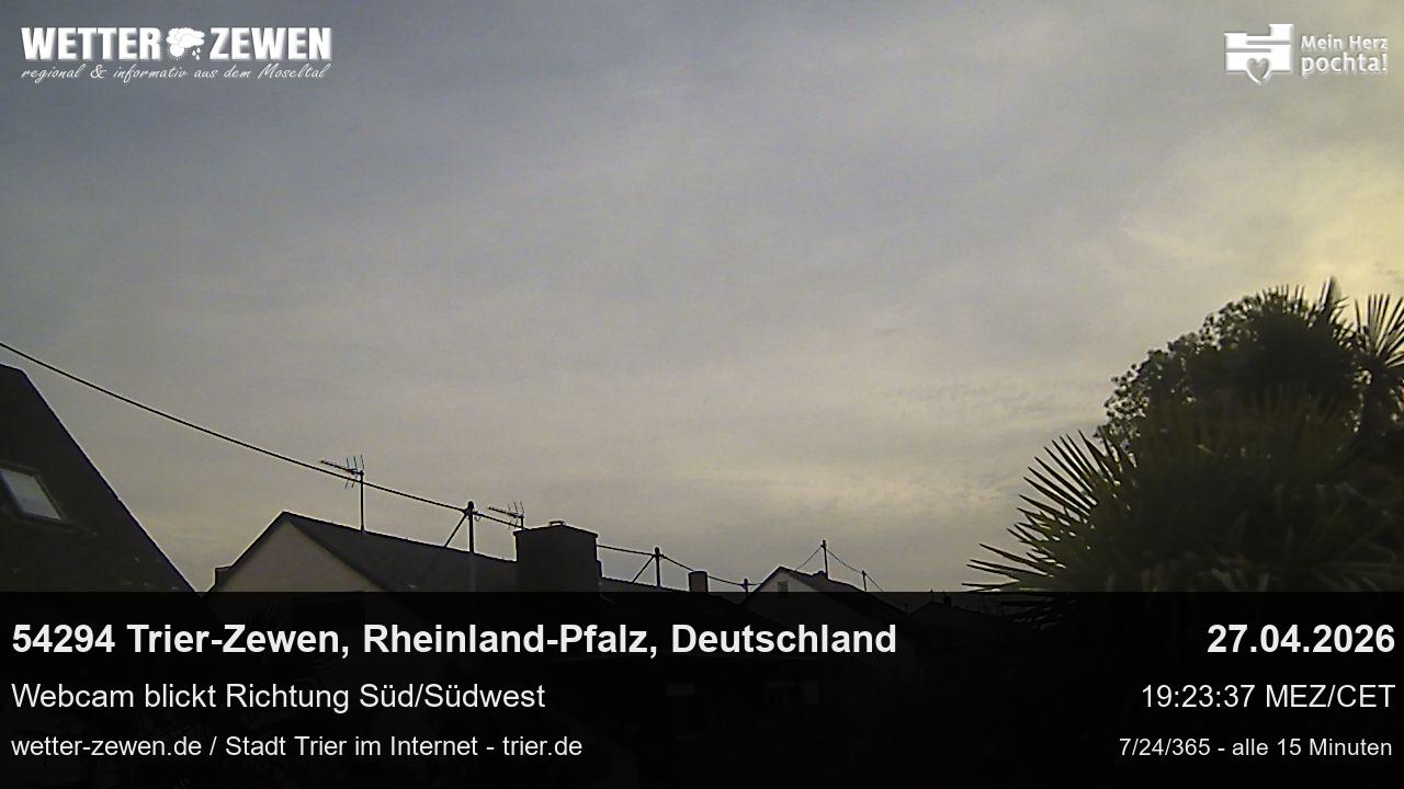 Bild
