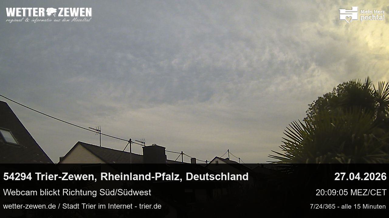 Bild