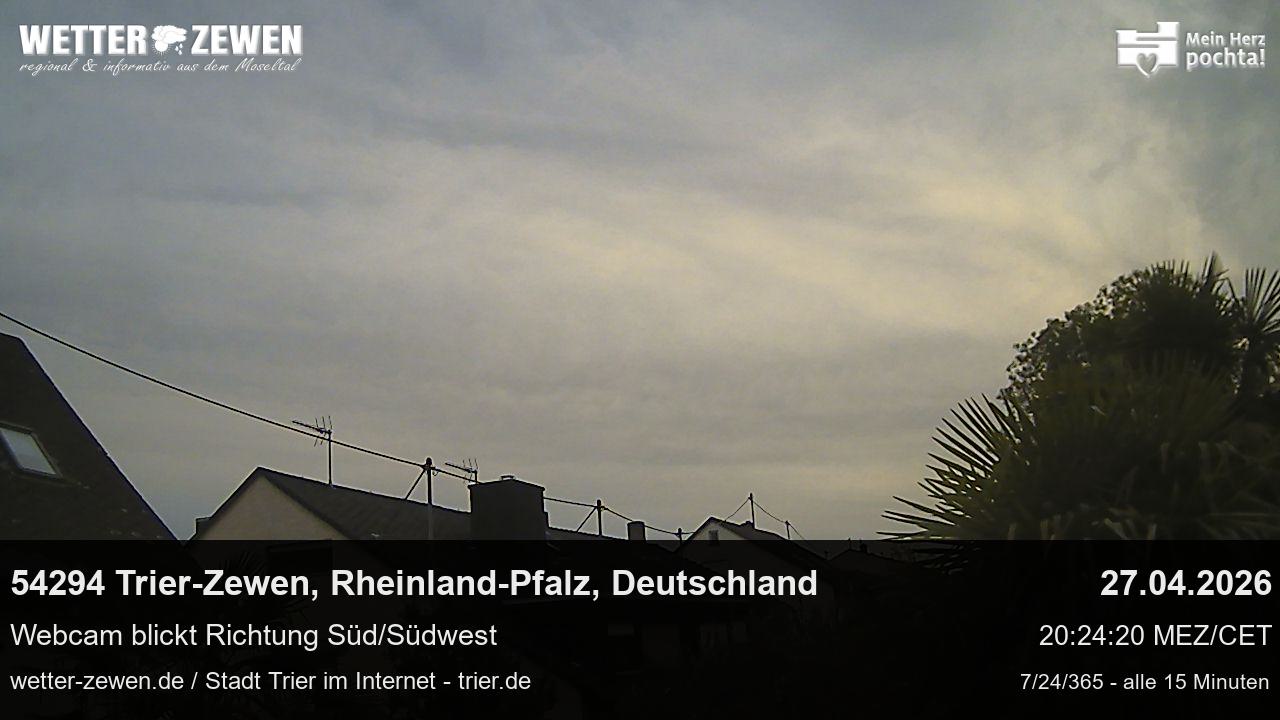 Bild