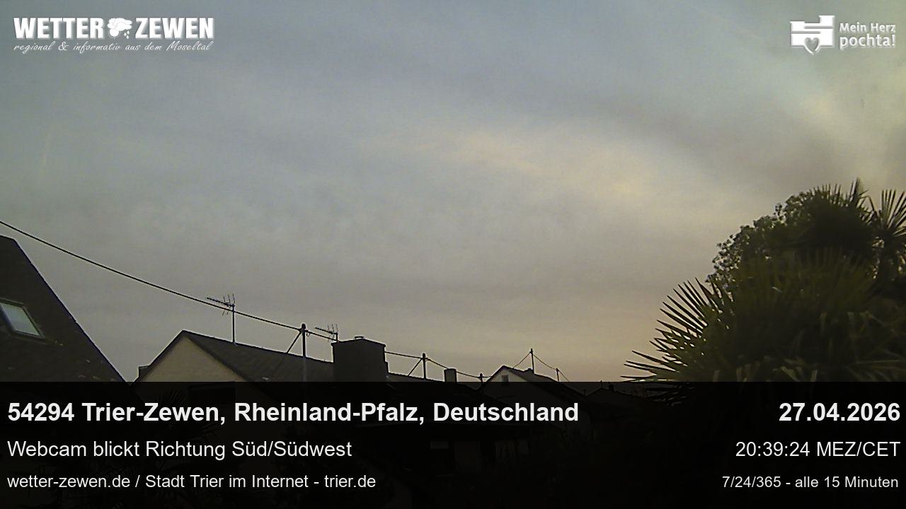 Bild