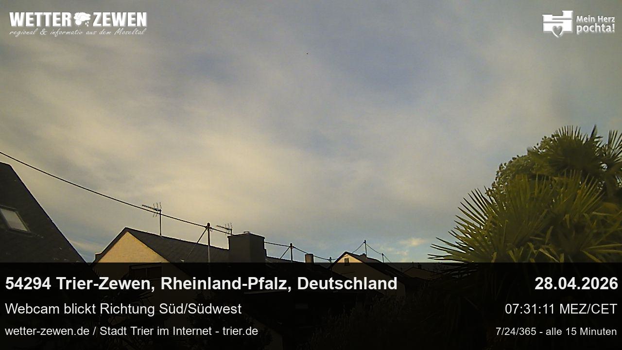 Bild