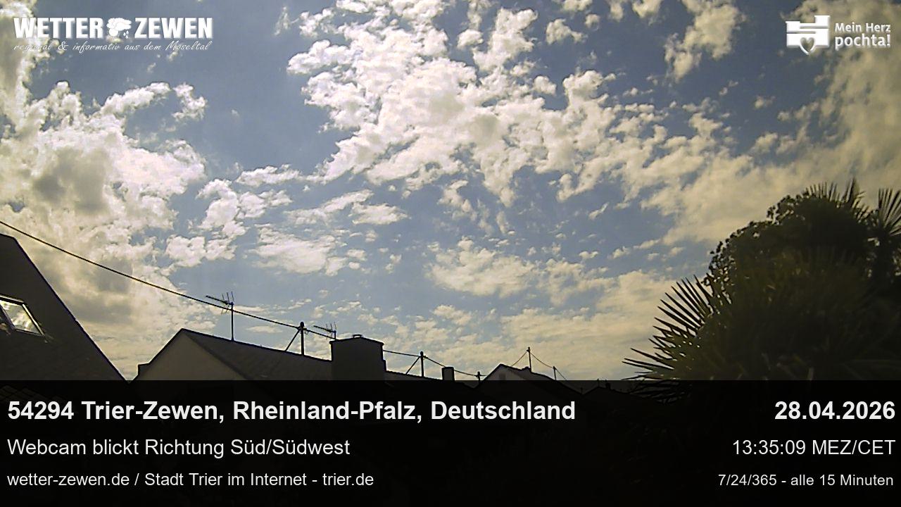 Bild