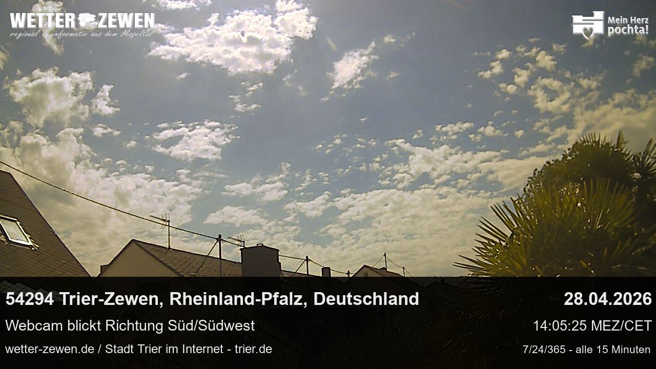 Bild