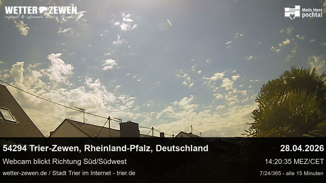 Bild