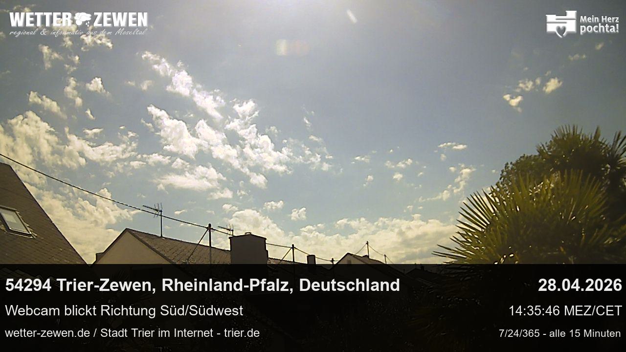 Bild