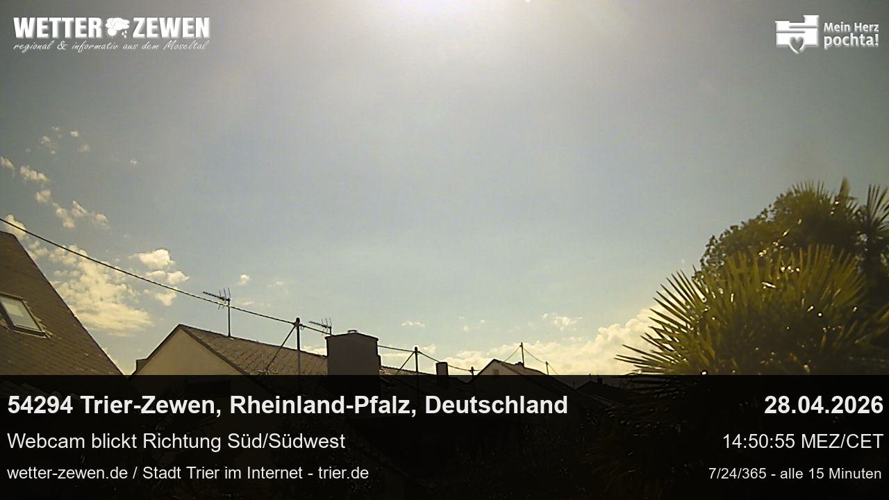 Bild