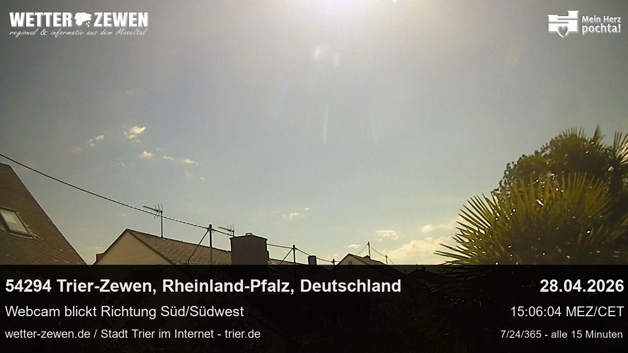 Bild