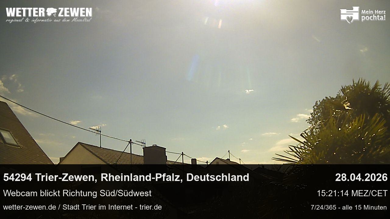 Bild