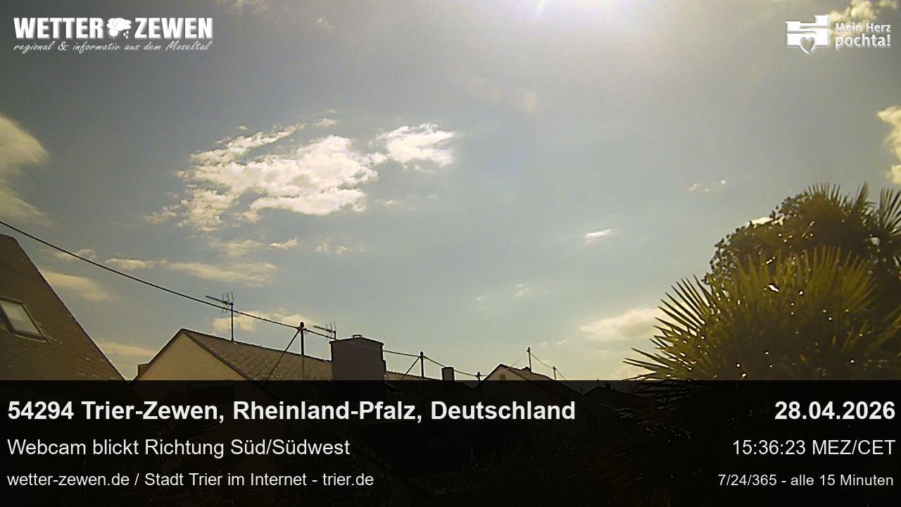Bild